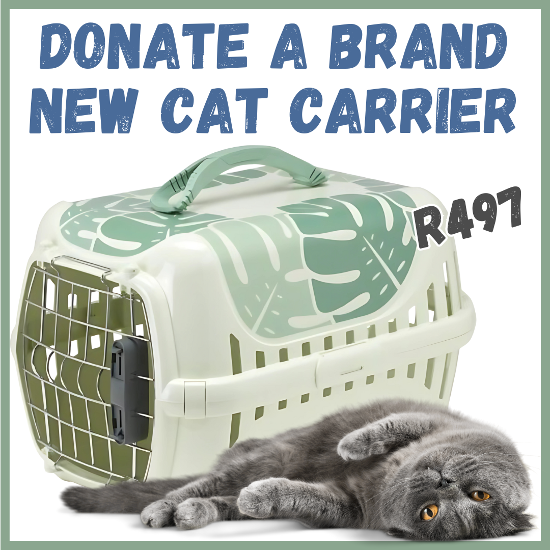DONATE A CAT CARRIER TO DARG