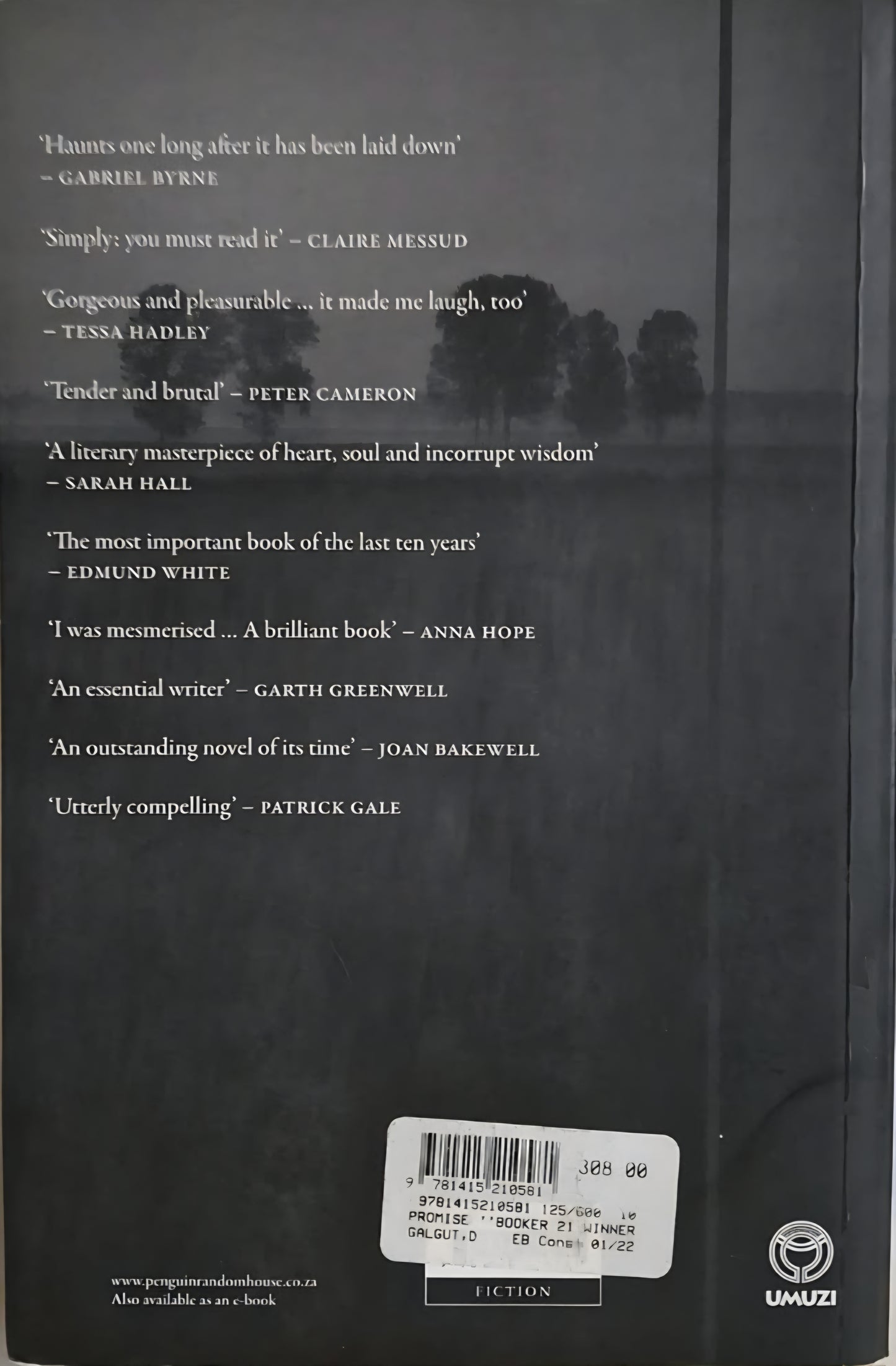 Galgut, Damon - THE PROMISE