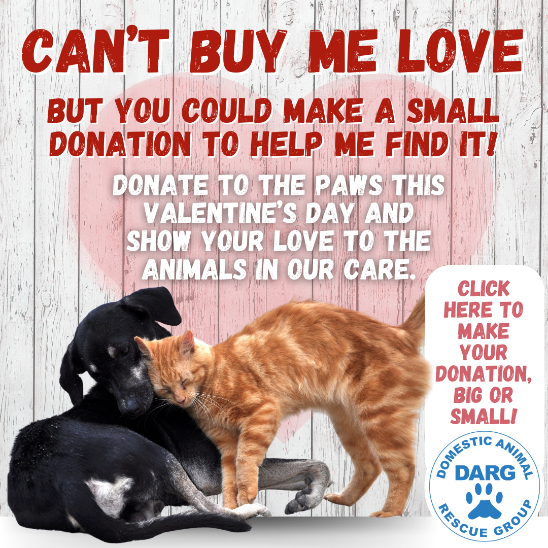 FINANCIAL DONATION TO DARG