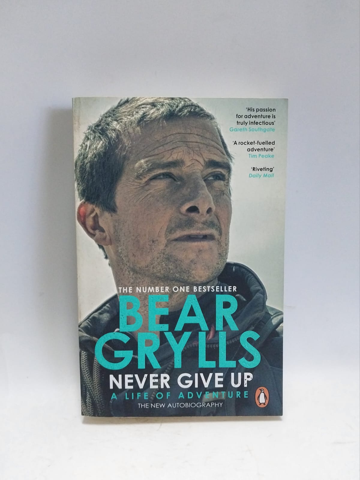 Grylls, Bear - NEVER GIVE UP