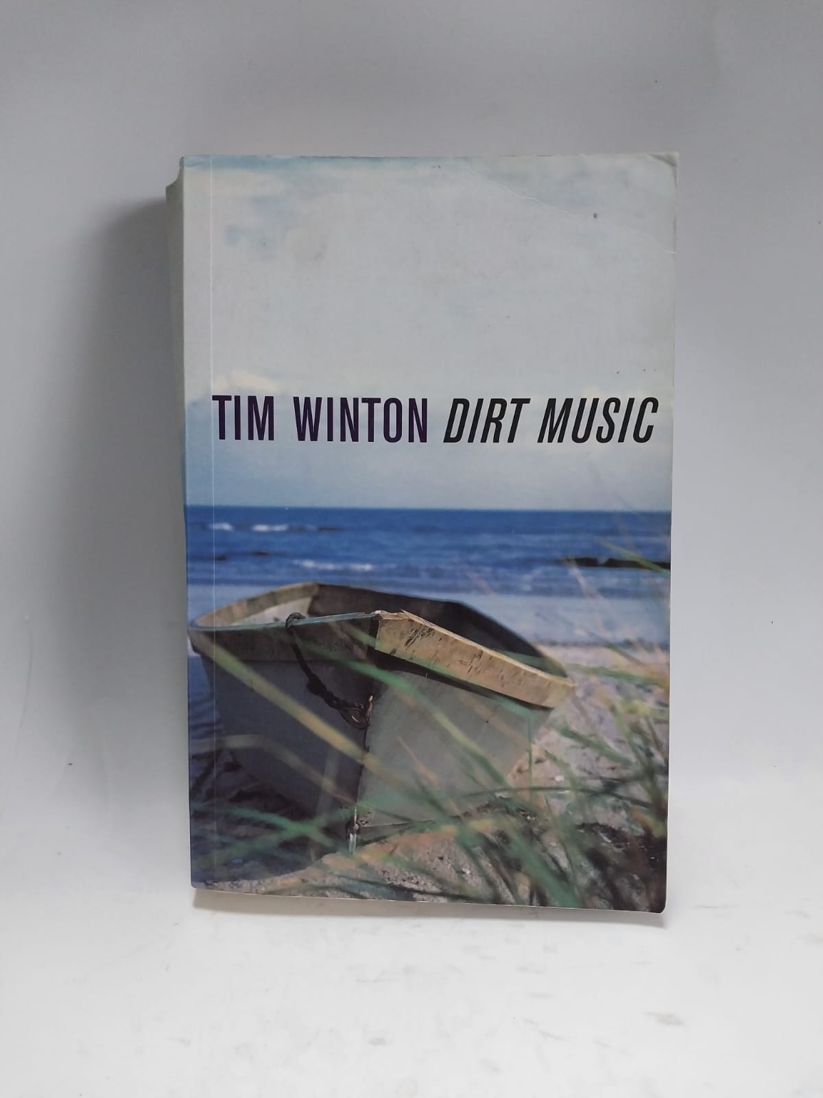 Winton, Tim - DIRT MUSIC
