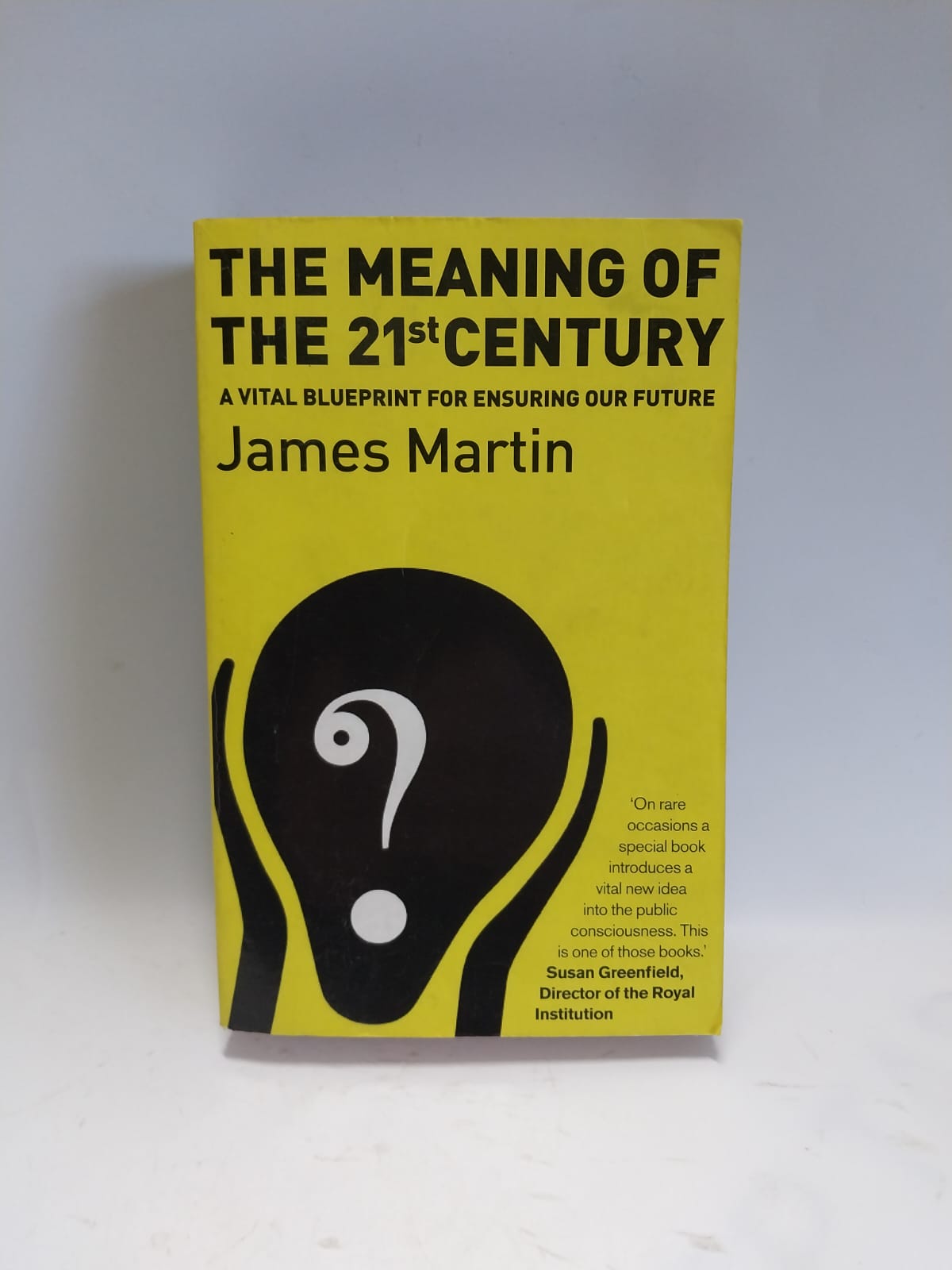 Martin, James - THE MEANING OF THE 21ST CENTURY