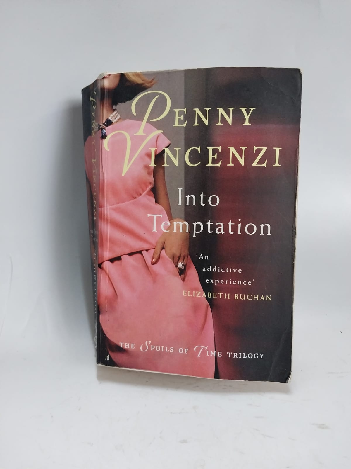Vincenzi, Penny - INTO TEMPTATION
