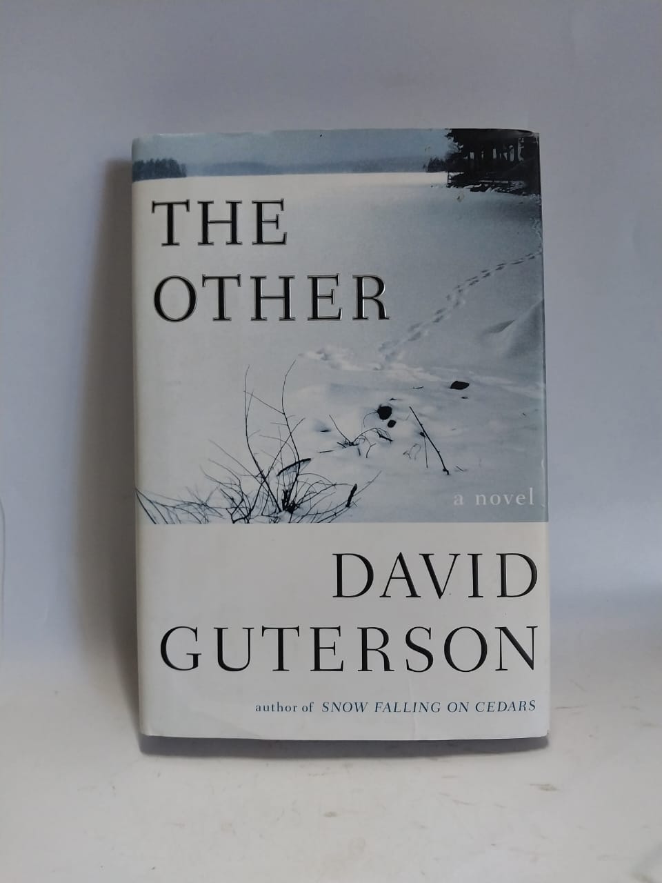 Guterson, David - THE OTHER