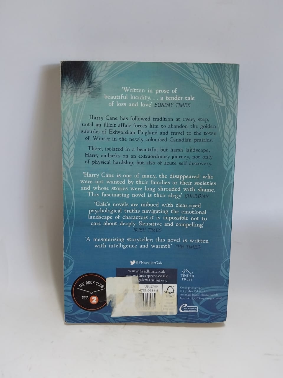 Gale, Patrick - A PLACE CALLED WINTER