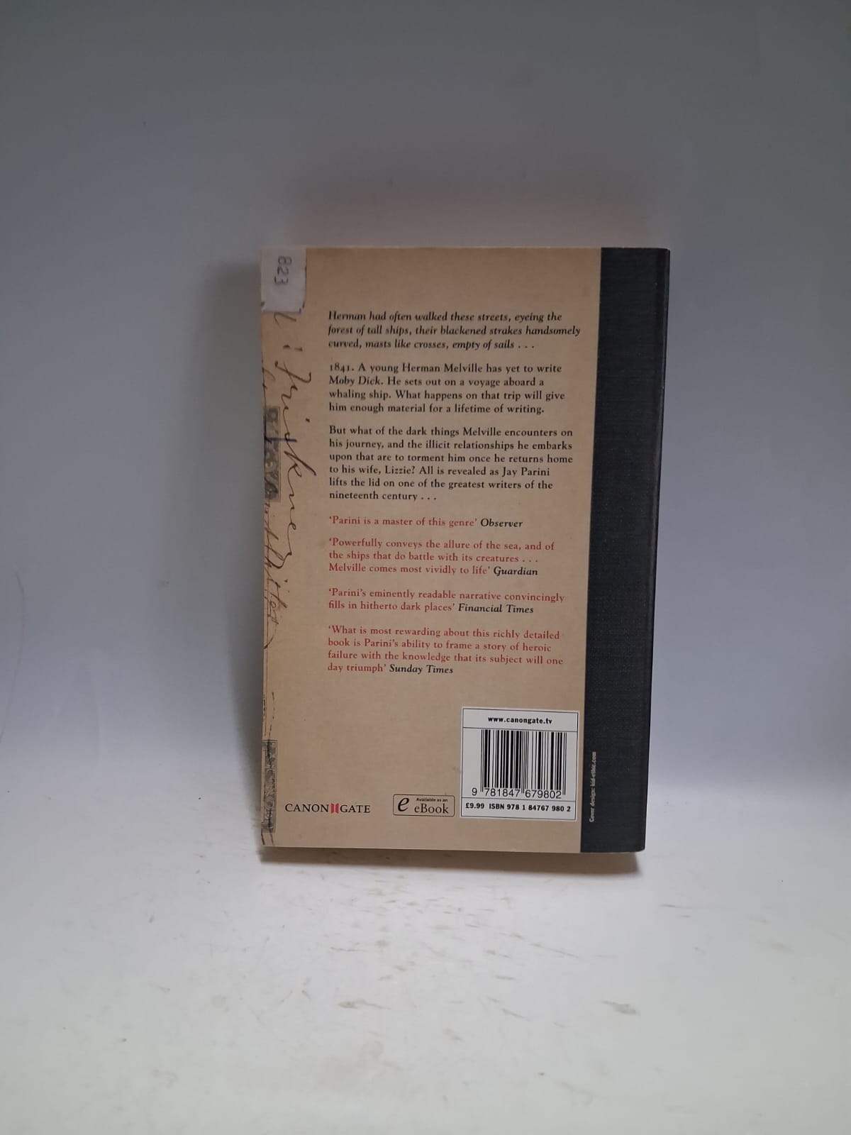 Parini, Jay - THE PASSAGES OF HERMAN MELVILLE