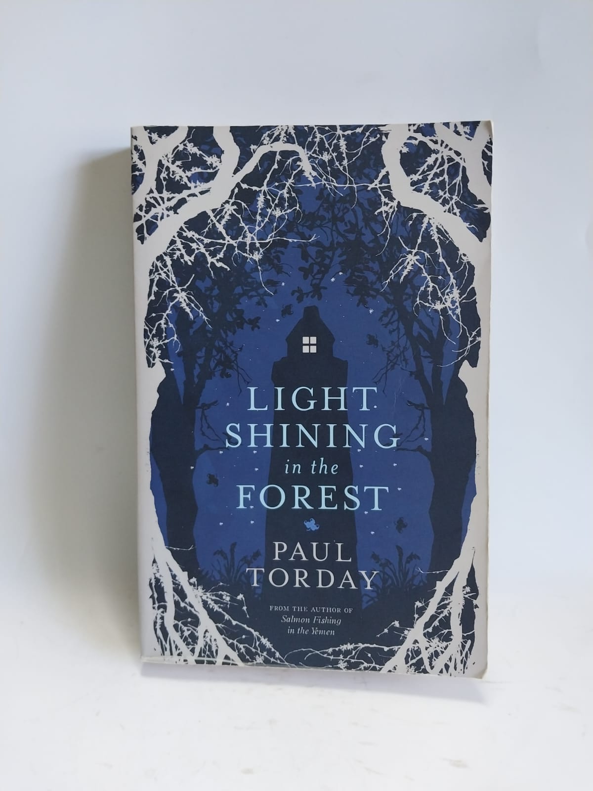Torday, Paul - LIGHT SHINING IN THE FOREST