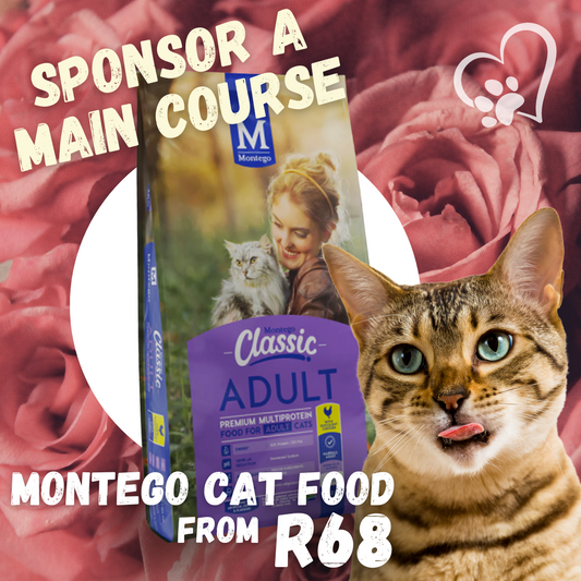 SPONSOR A MAIN COURSE FOR KITTIES
