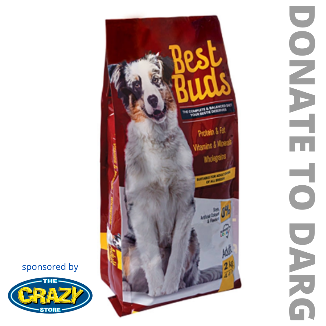 Best store dog food best sale