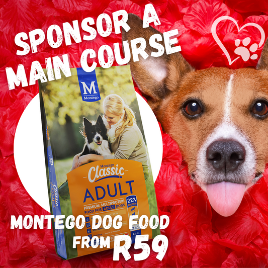 SPONSOR A MAIN COURSE FOR PUPS