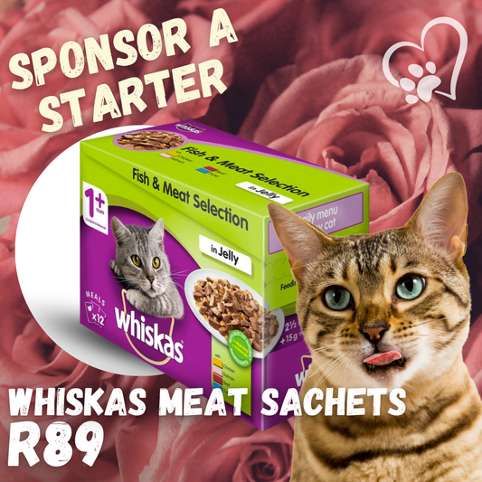 SPONSOR A STARTER FOR KITTIES