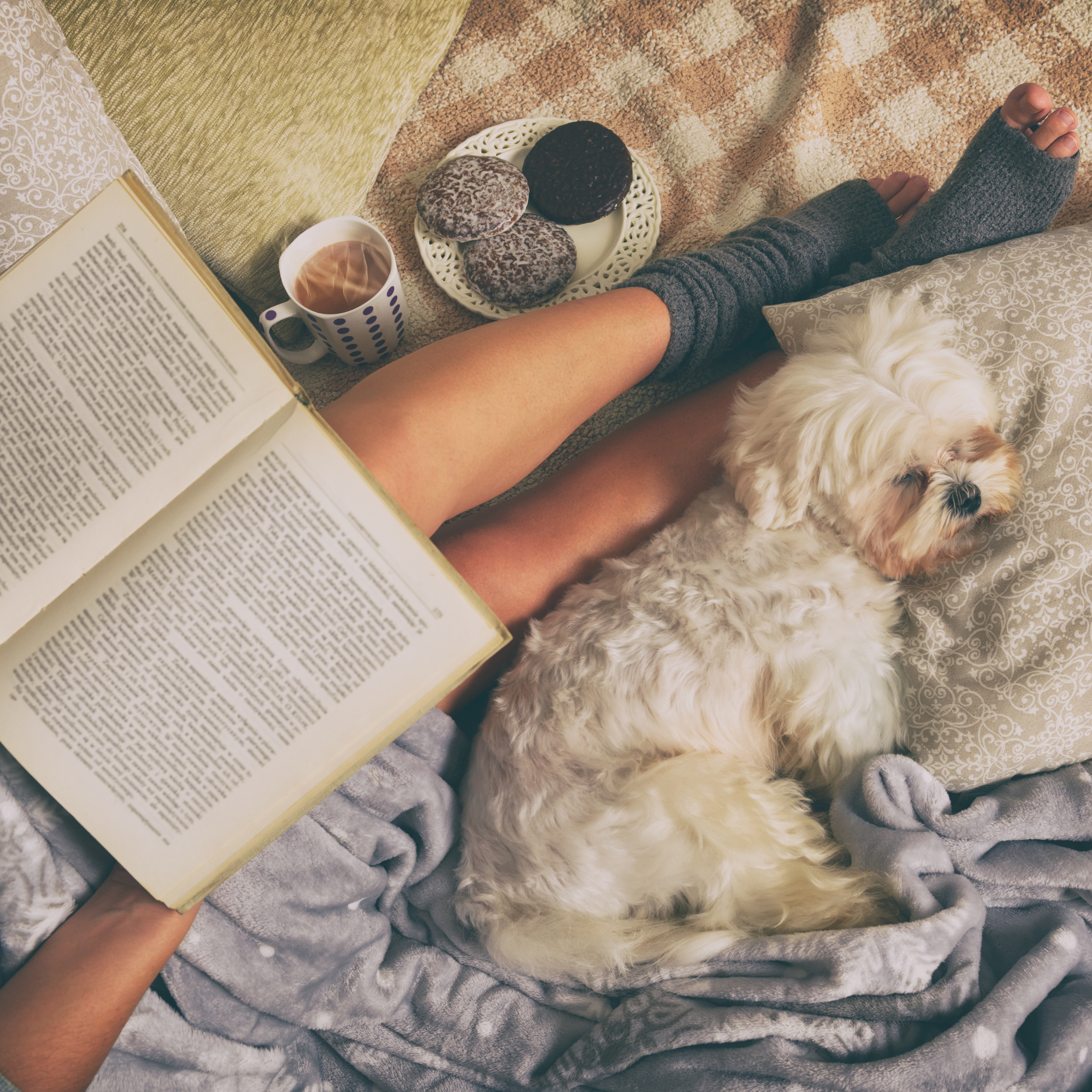 DARG Online Store | SELF HELP & PARENTING – Domestic Animal Rescue Group