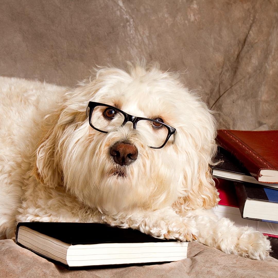 CLASSICS & POETRY Domestic Animal Rescue Group