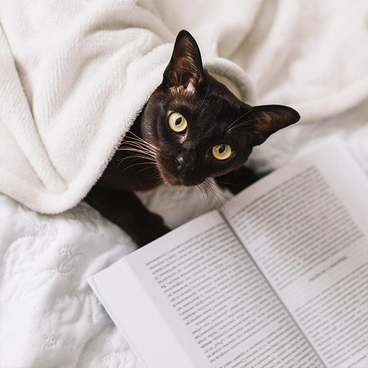 DARG Online Store | NON-FICTION – Domestic Animal Rescue Group