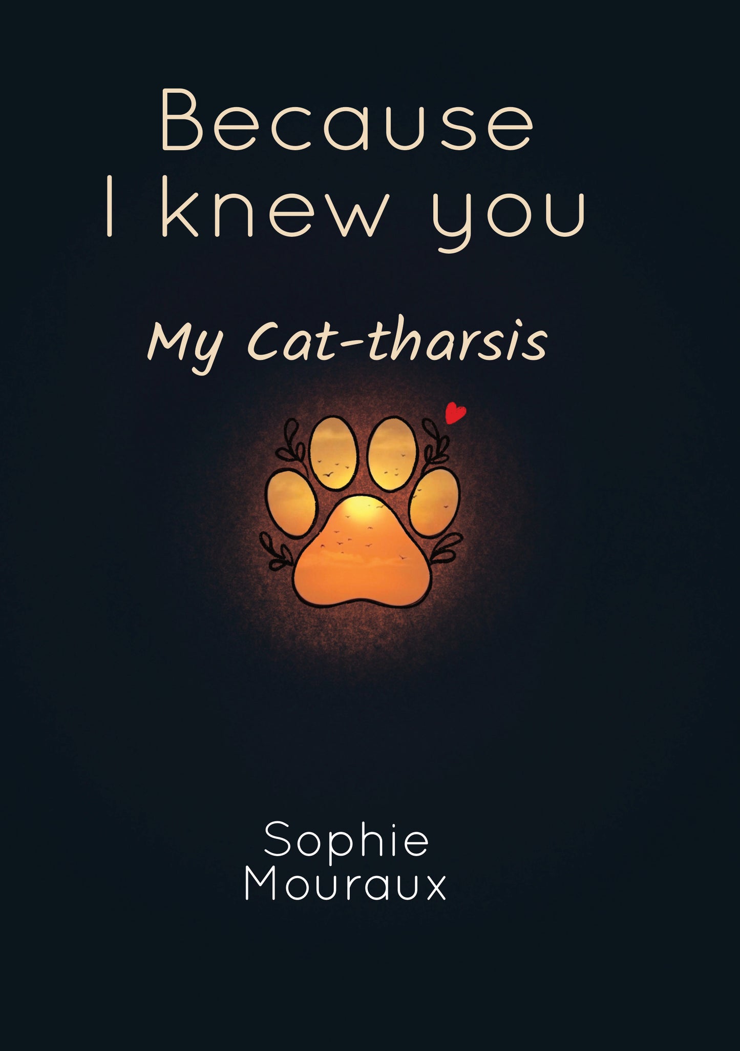 Because I Knew You - Sophie Mouraux
