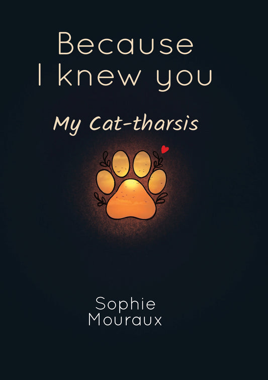 Because I Knew You - Sophie Mouraux