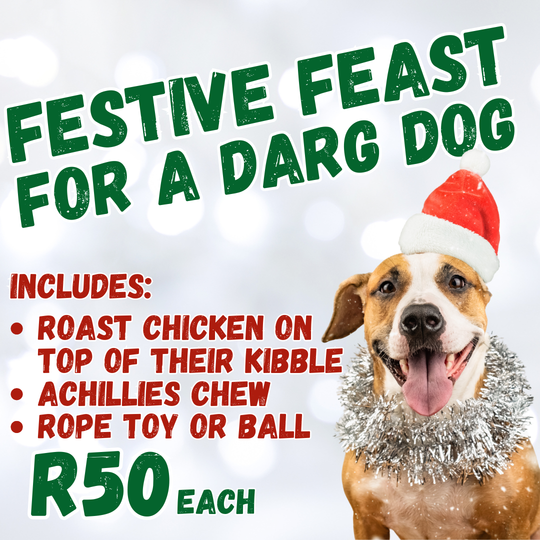 SPONSOR A FESTIVE FEAST