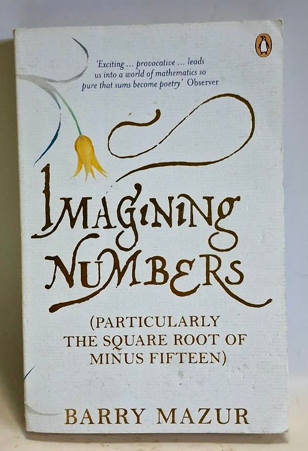 Mazur, Barry - IMAGINING NUMBERS