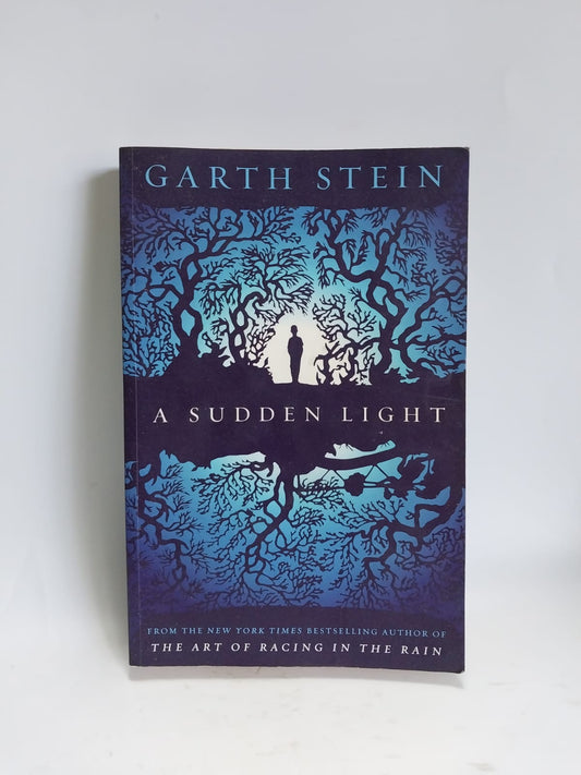 Stein, Garth - A SUDDEN LIGHT