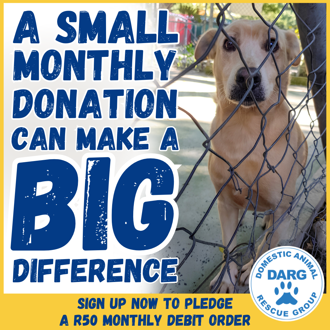 MAKE A MONTHLY DONATION