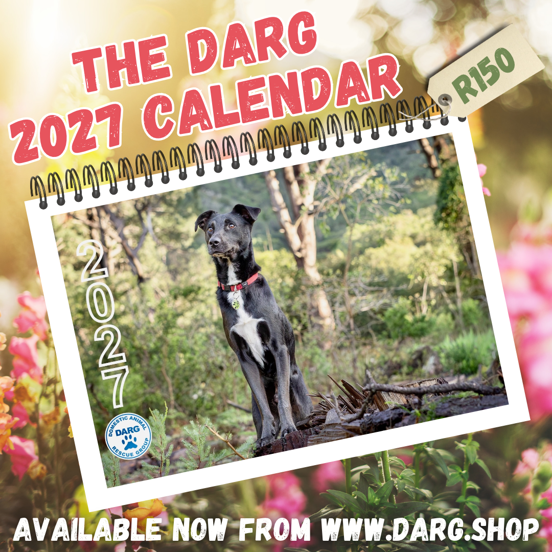 DARG 2027 CALENDAR