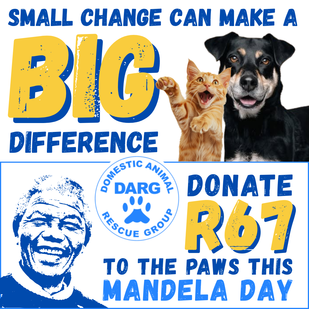 R67 FOR MANDELA DAY