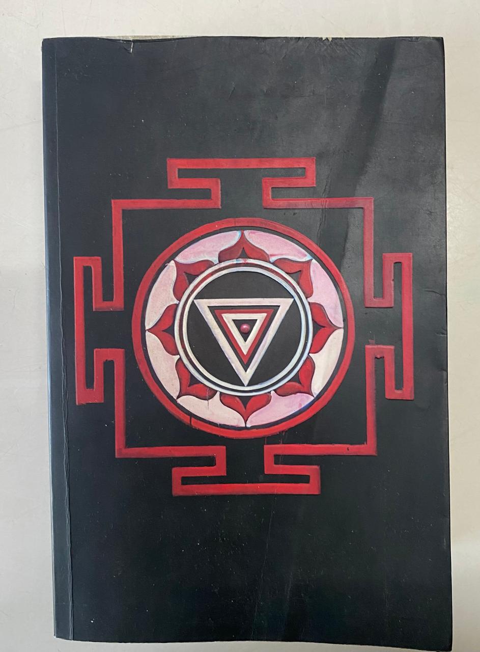 Roberts, Gregory David - THE MOUNTAIN SHADOW