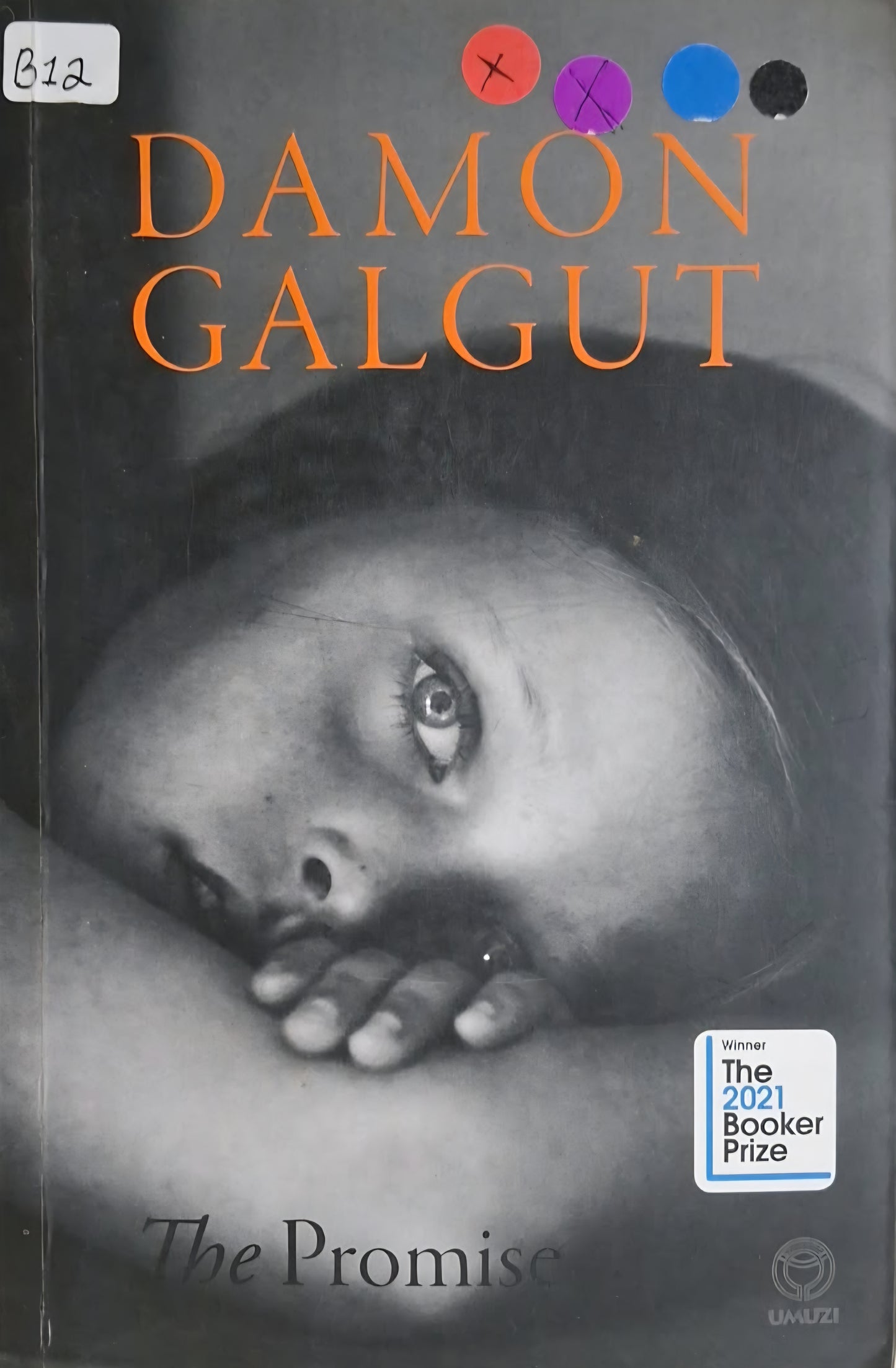 Galgut, Damon - THE PROMISE
