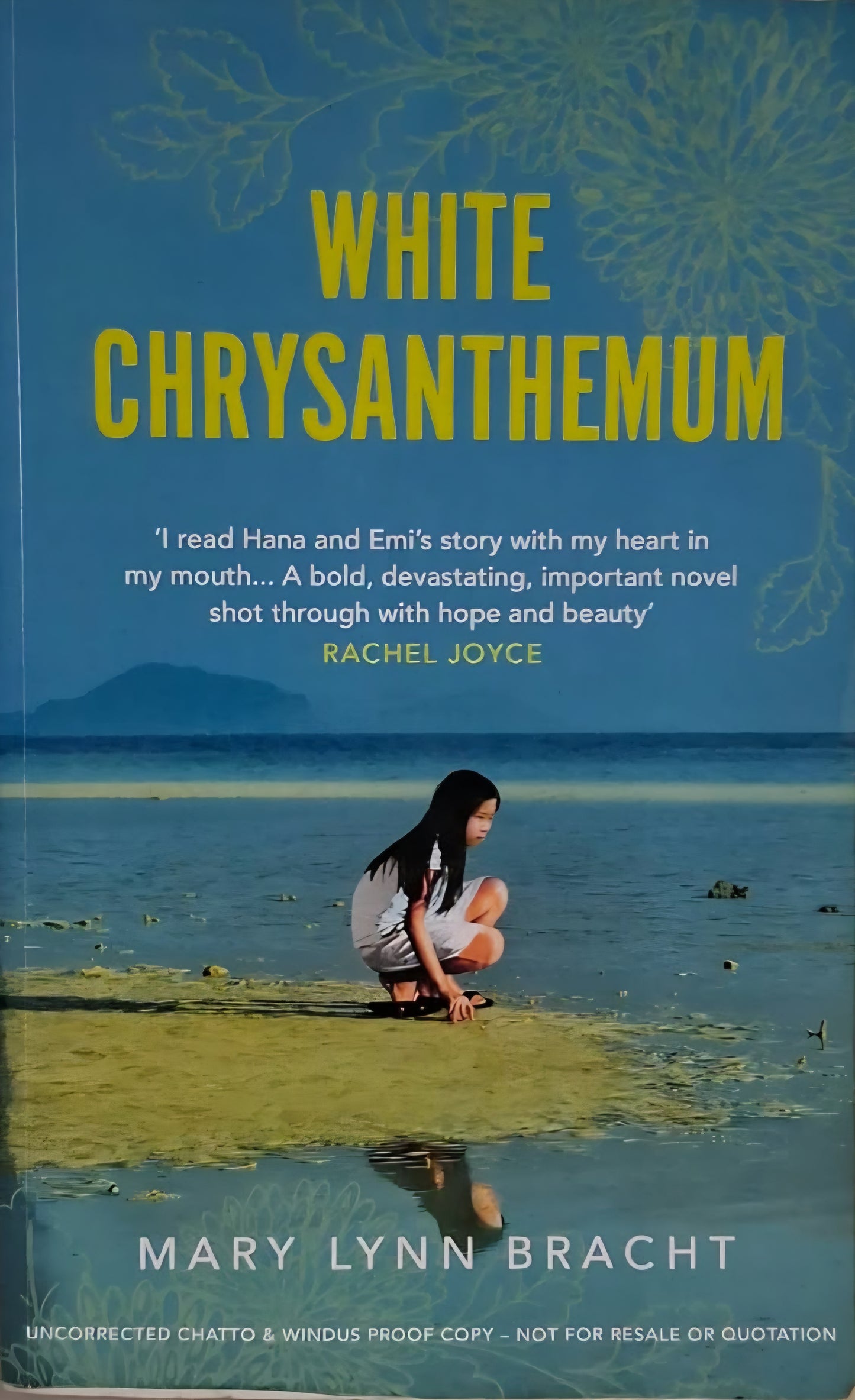 Lynn Bracht, Mary - WHITE CHRYSANTHEMUM