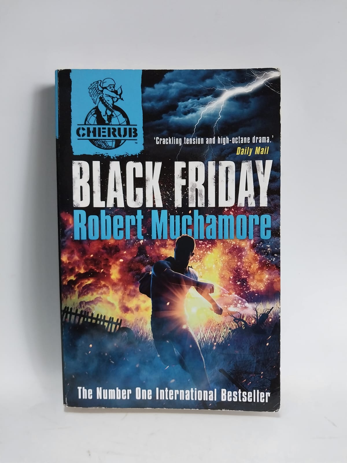 Muchamore, Robert - BLACK FRIDAY