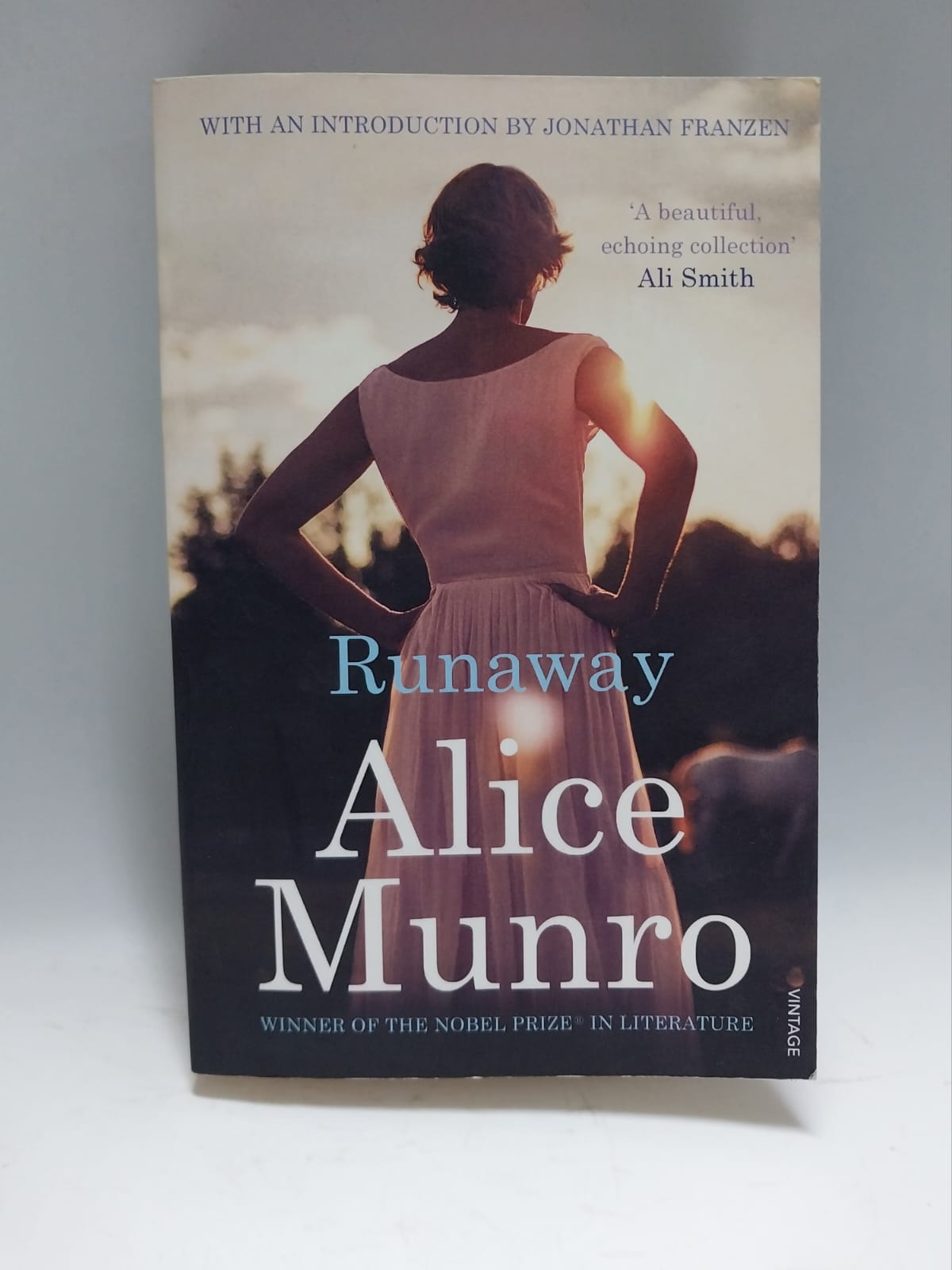 Munro, Alice - RUNAWAY