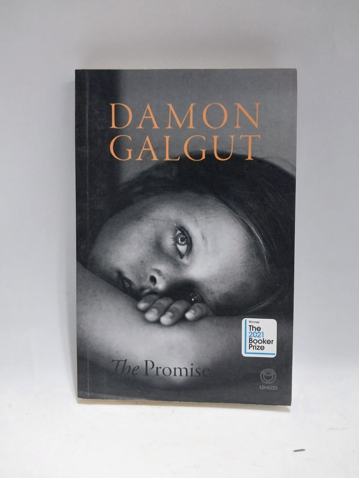 Galgut, Damon - THE PROMISE