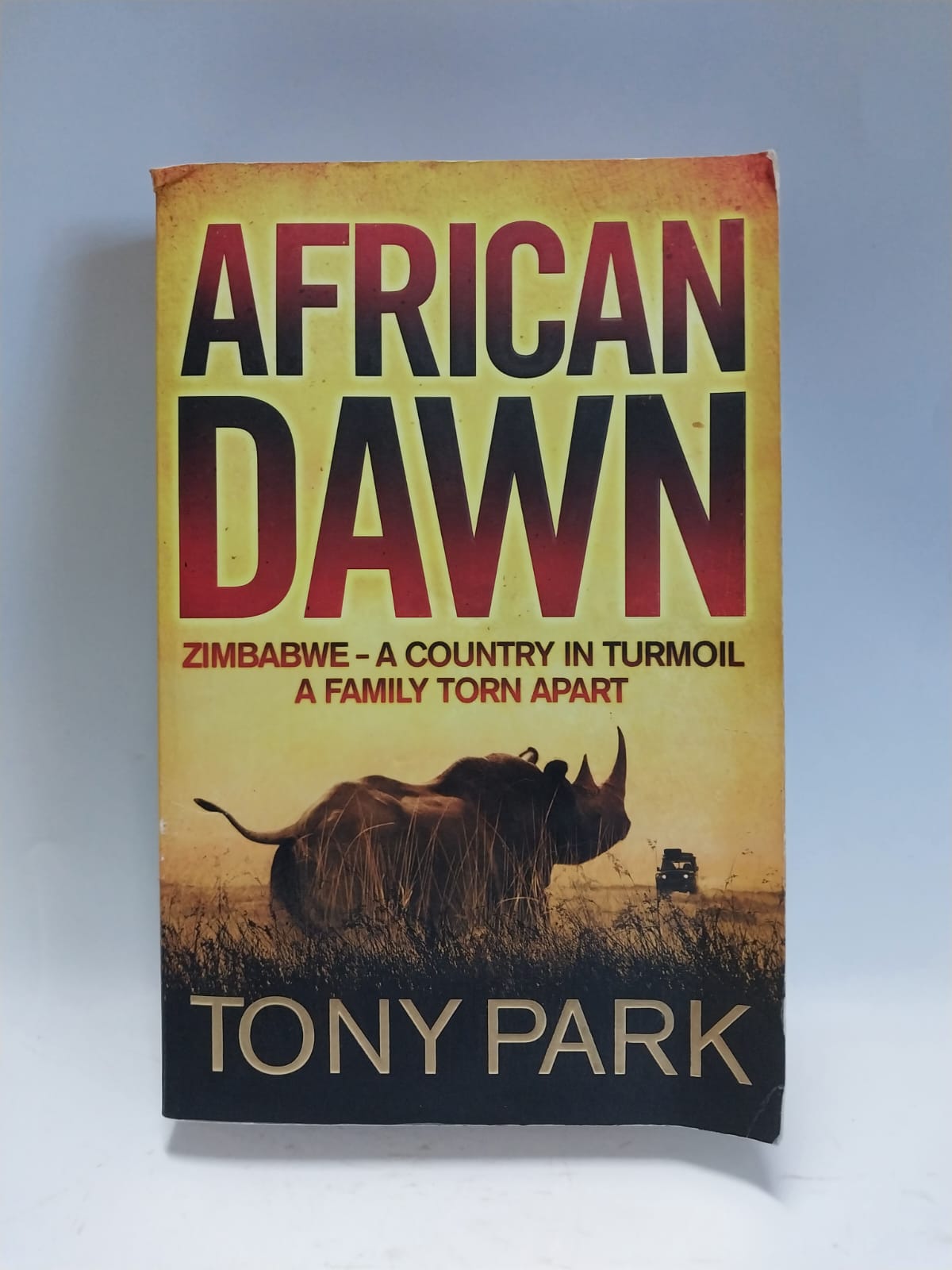 Park, Tony - AFRICAN DAWN