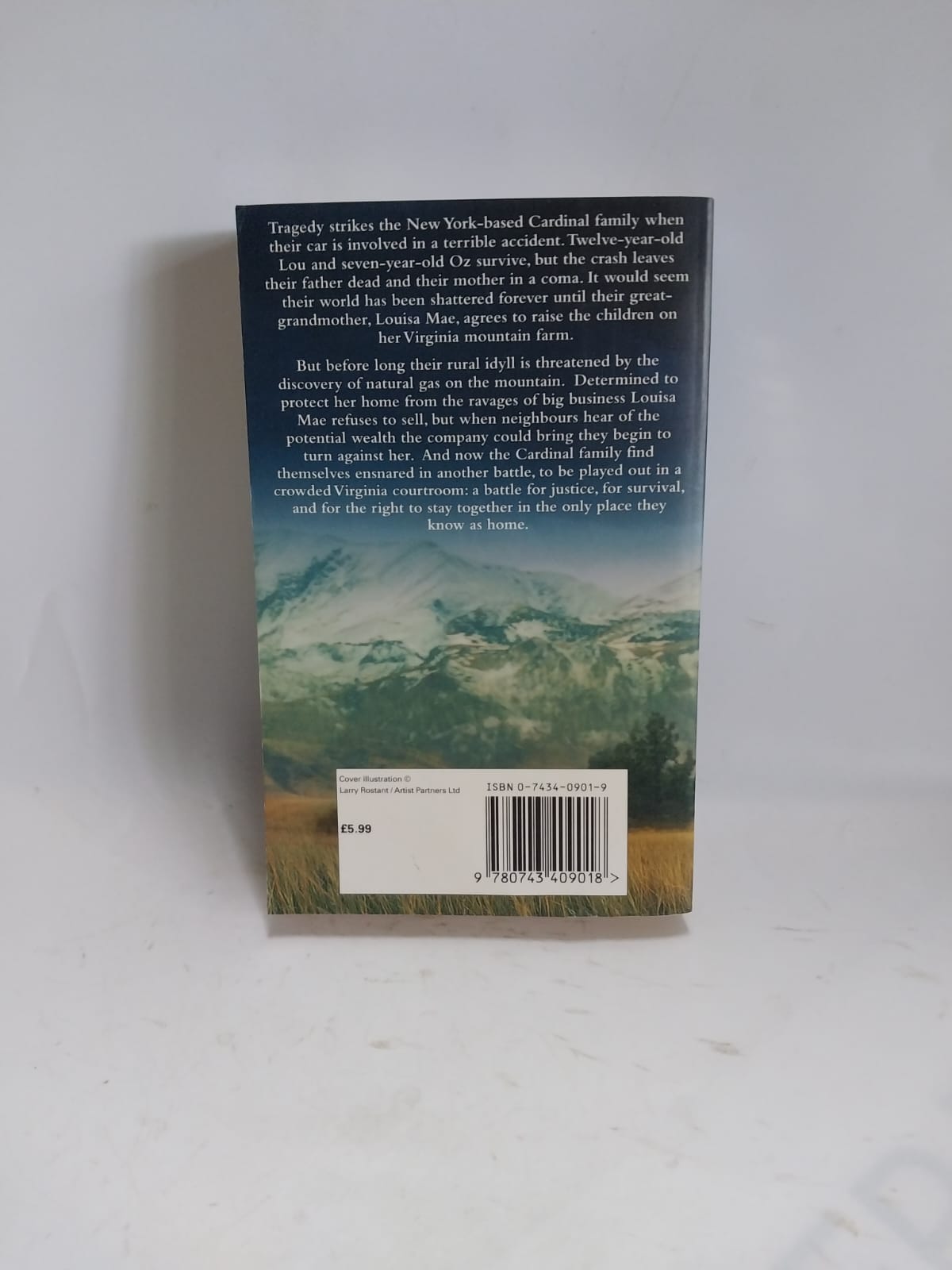 Baldacci, David - WISH YOU WELL