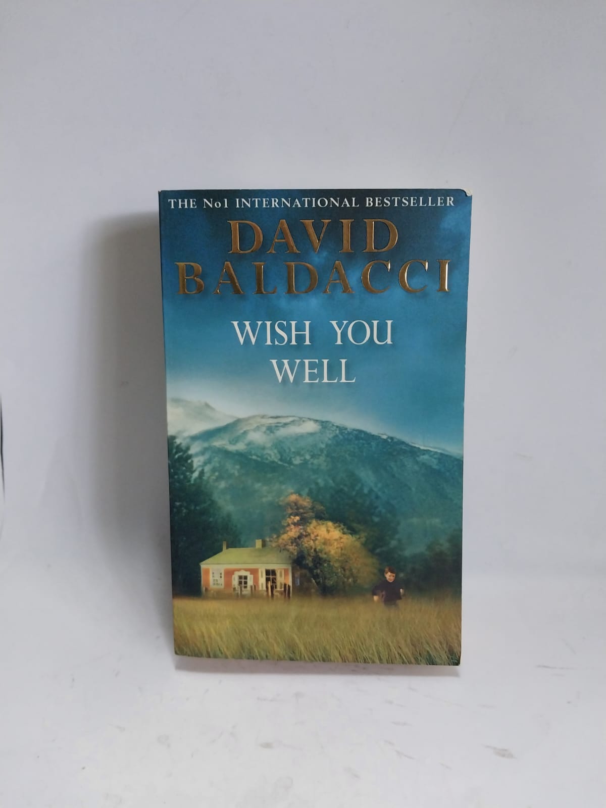 Baldacci, David - WISH YOU WELL