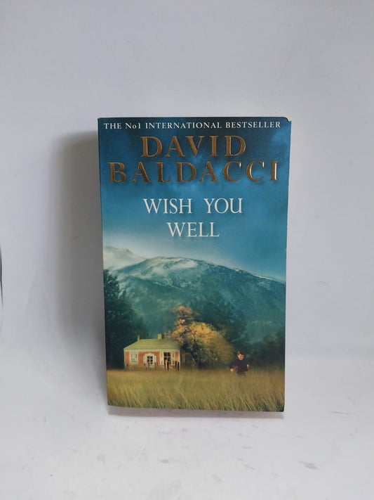 Baldacci, David - WISH YOU WELL