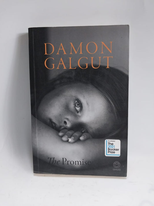 Galgut, Damon - THE PROMISE
