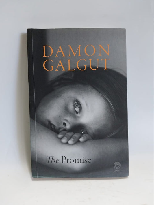 Galgut, Damon - THE PROMISE