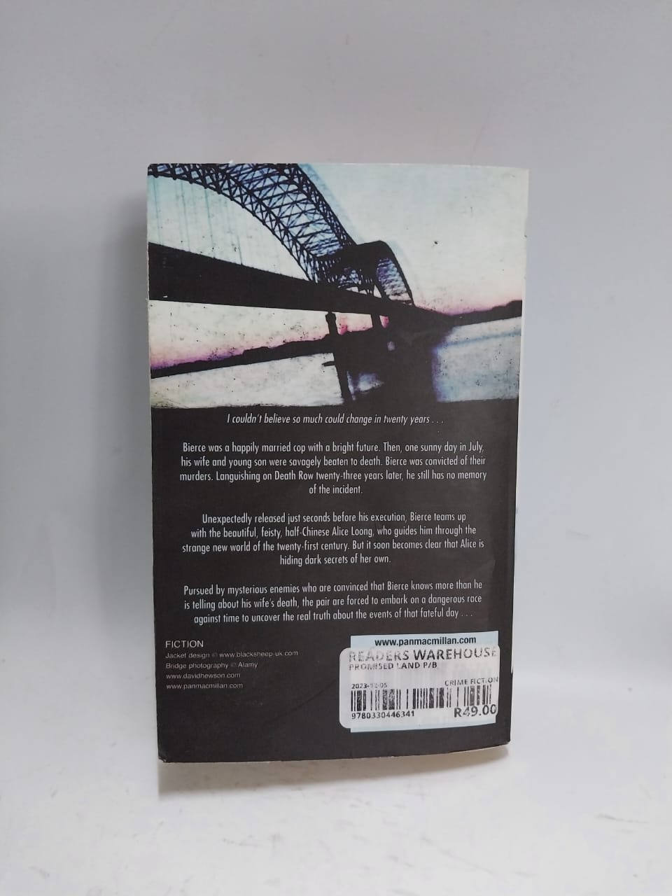 Hewson, David - THE PROMISED LAND