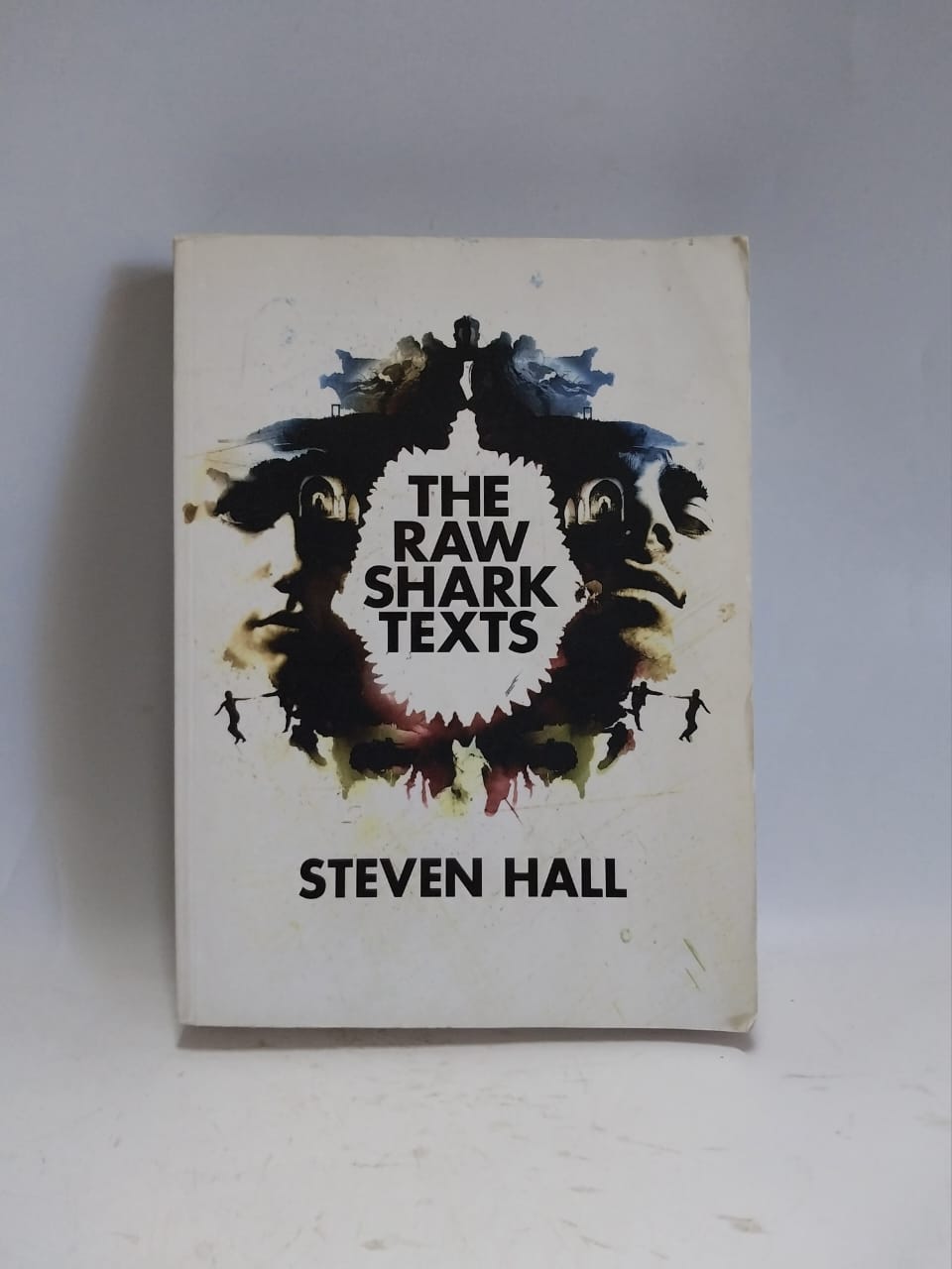 Hall, Steven - THE RAW SHARK TEXTS