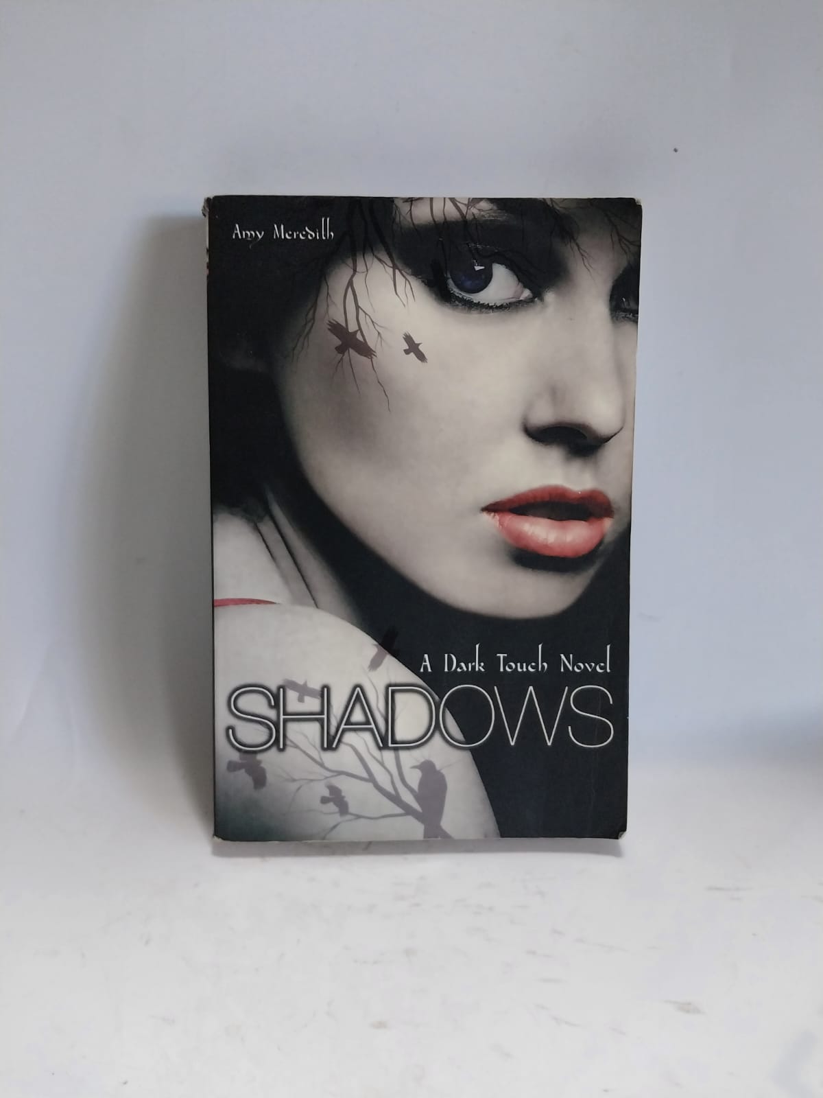 Meredill, Amy - SHADOWS