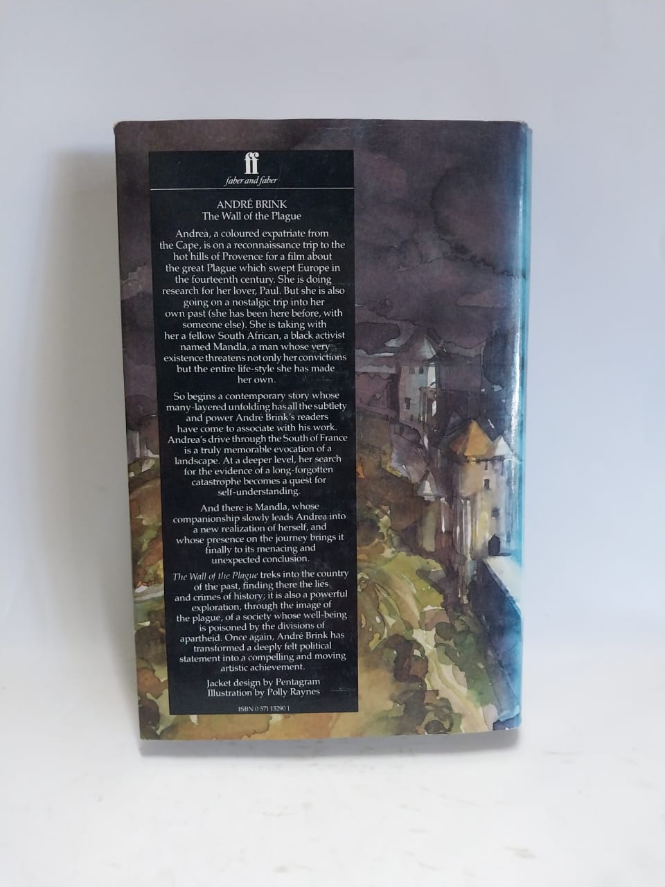 Brink, Andre - THE WALL OF THE PLAGUE