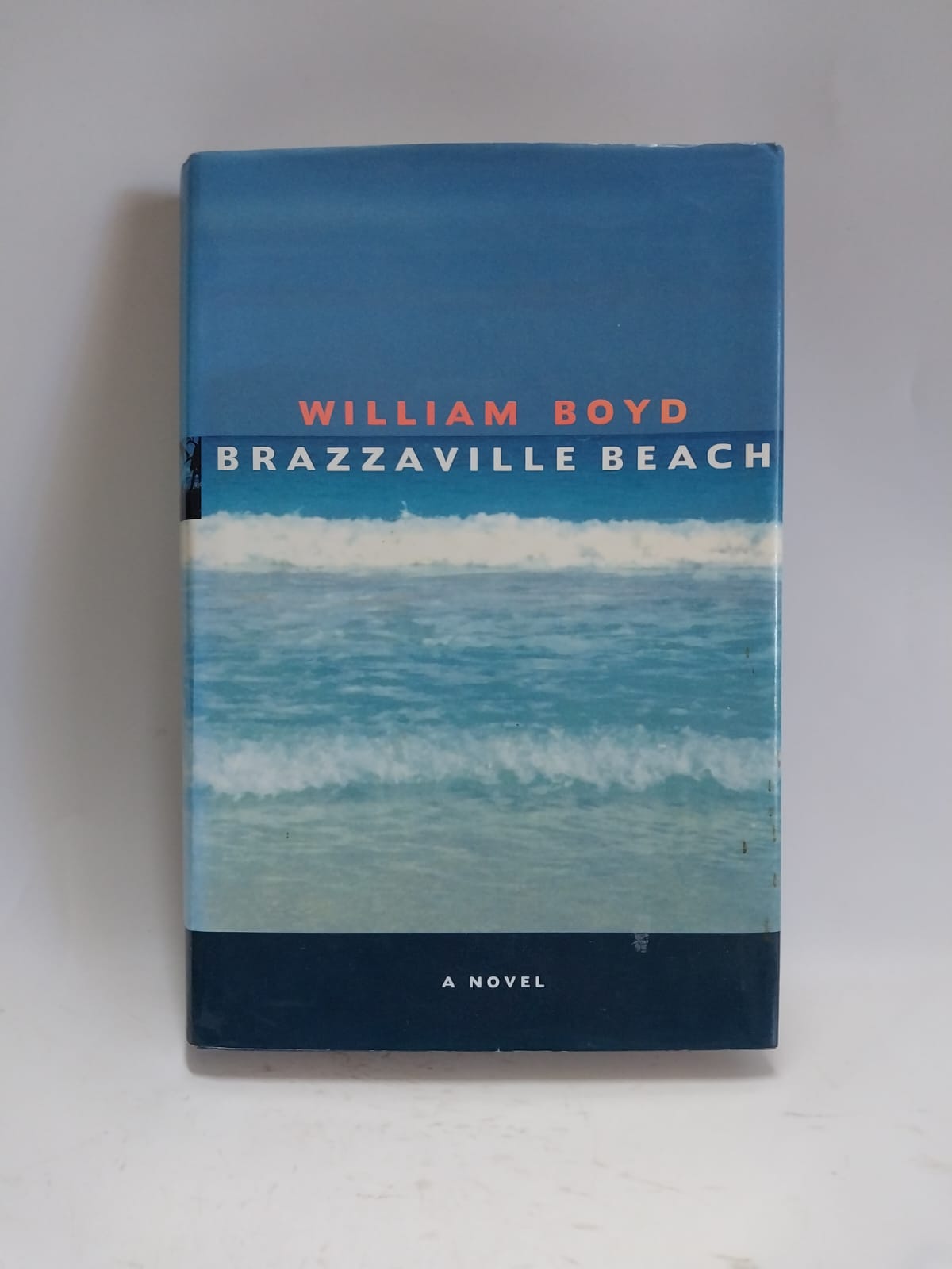 Boyd, William - BRAZZAVILLE BEACH