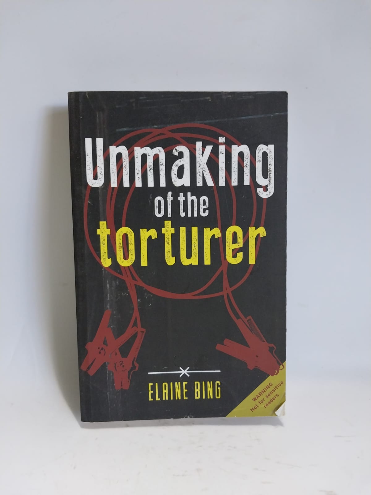 Bing, Elaine - UNMAKING OF THE TORTURER