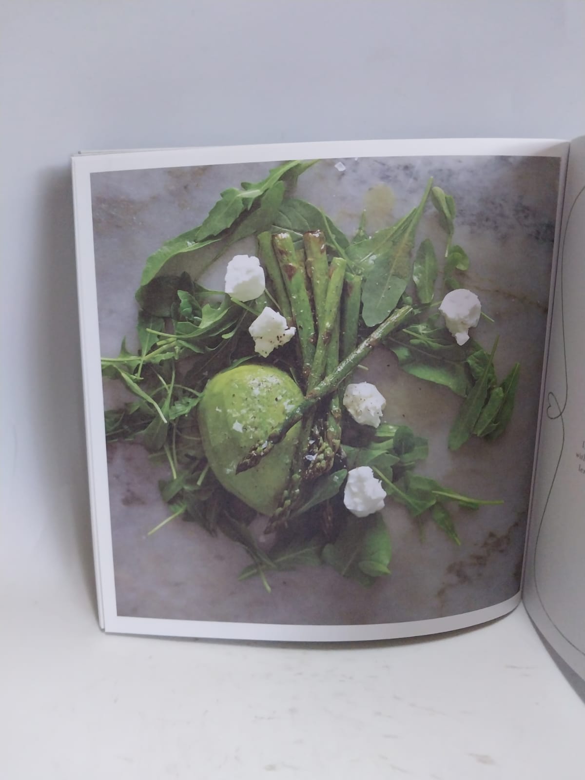 Bester, Tina - COMFORT