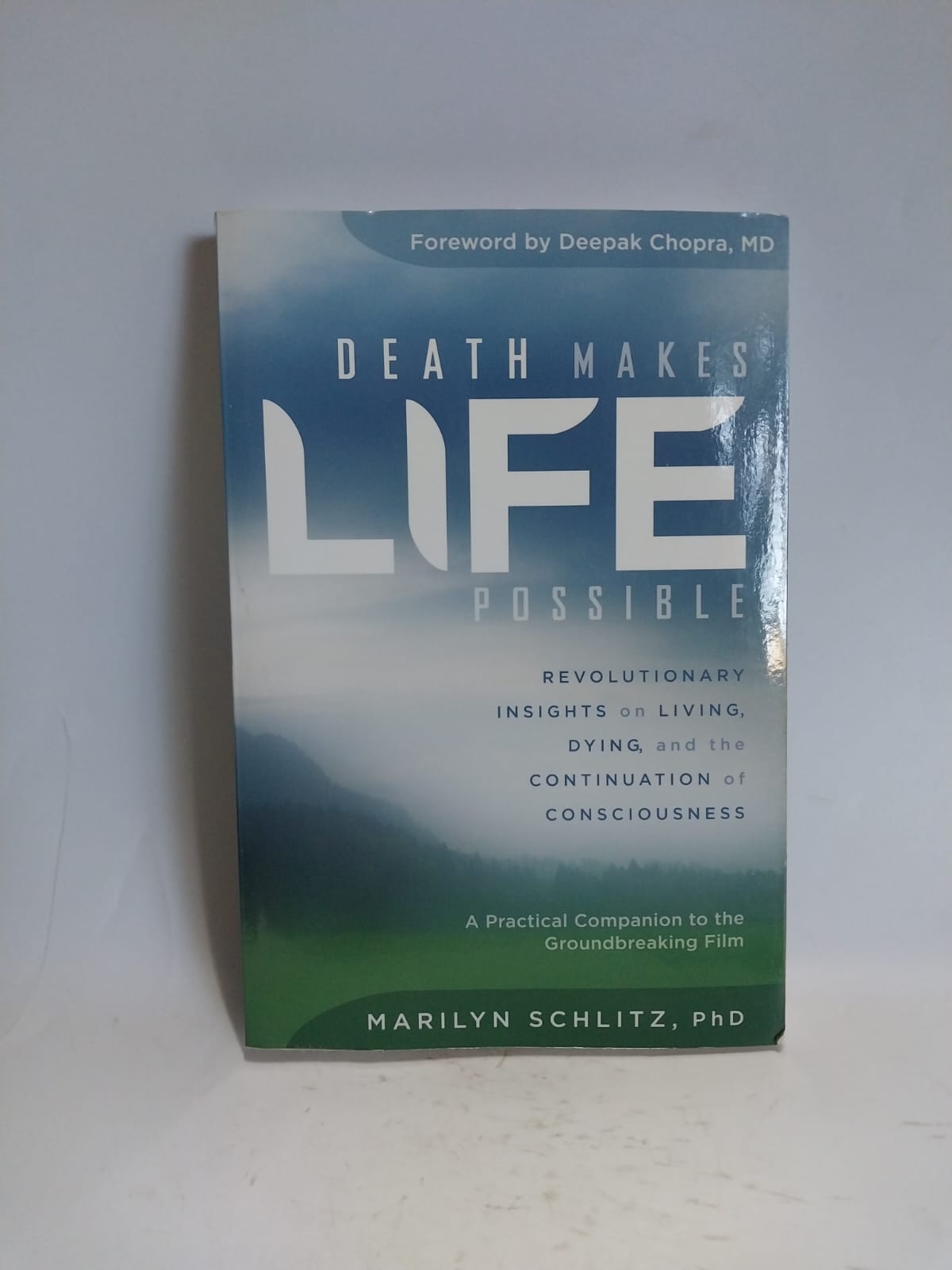 Schlitz, Marilyn - DEATH MAKES LIFE POSSIBLE