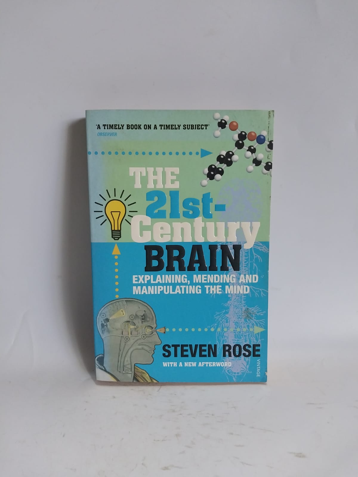 Rose, Steven - THE 21ST-CENTURY BRAIN