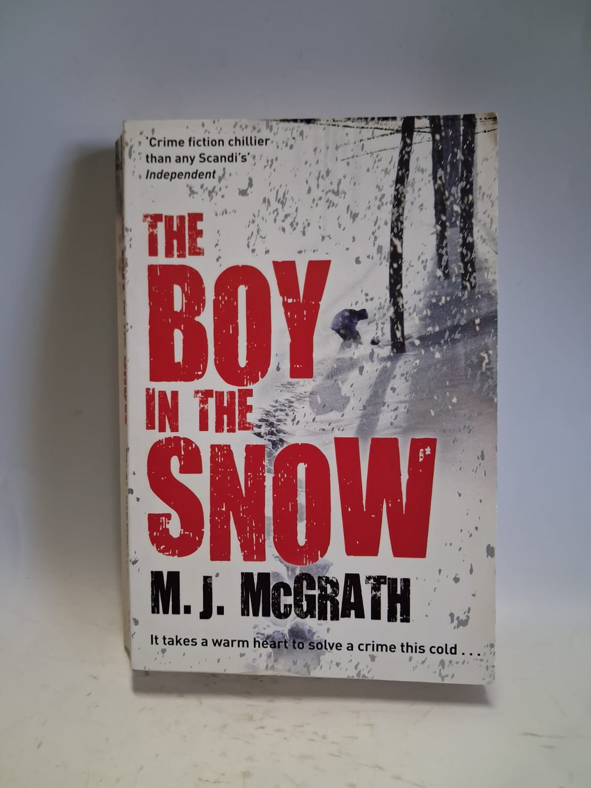 McGrath, MJ - THE BOY IN THE SNOW