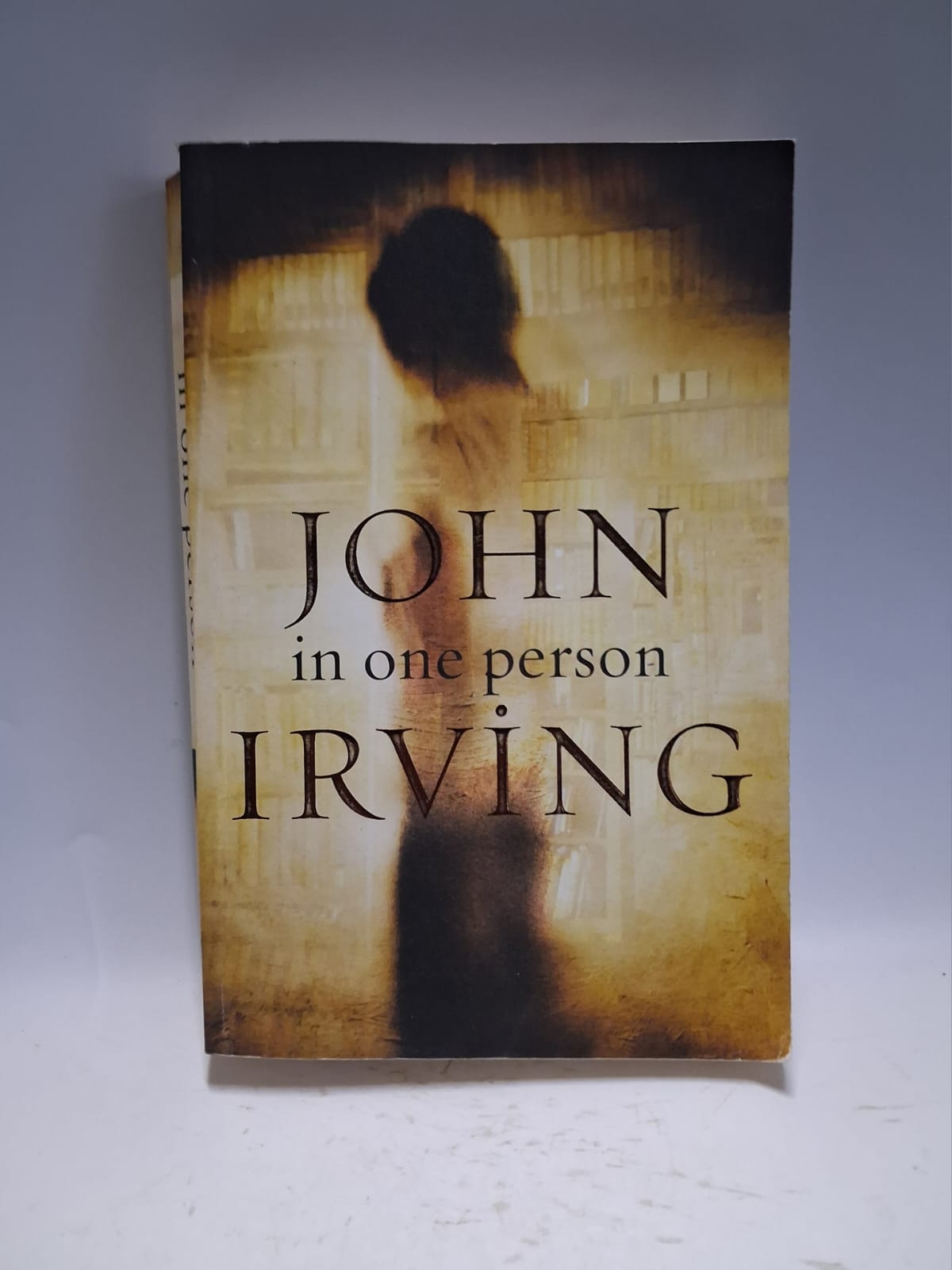 Irving, John - IN ONE PERSON