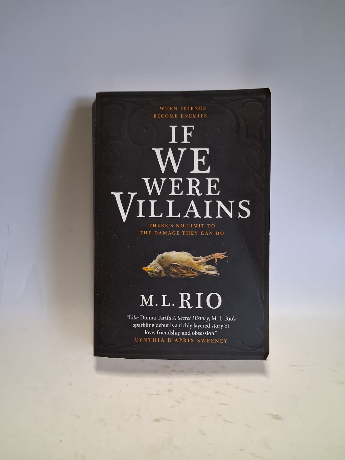 Rio, M.L - IF WE WERE VILLAINS